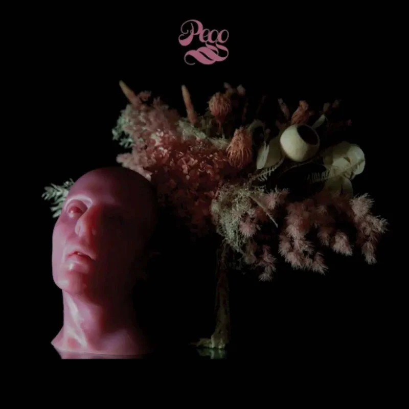 assai3705733