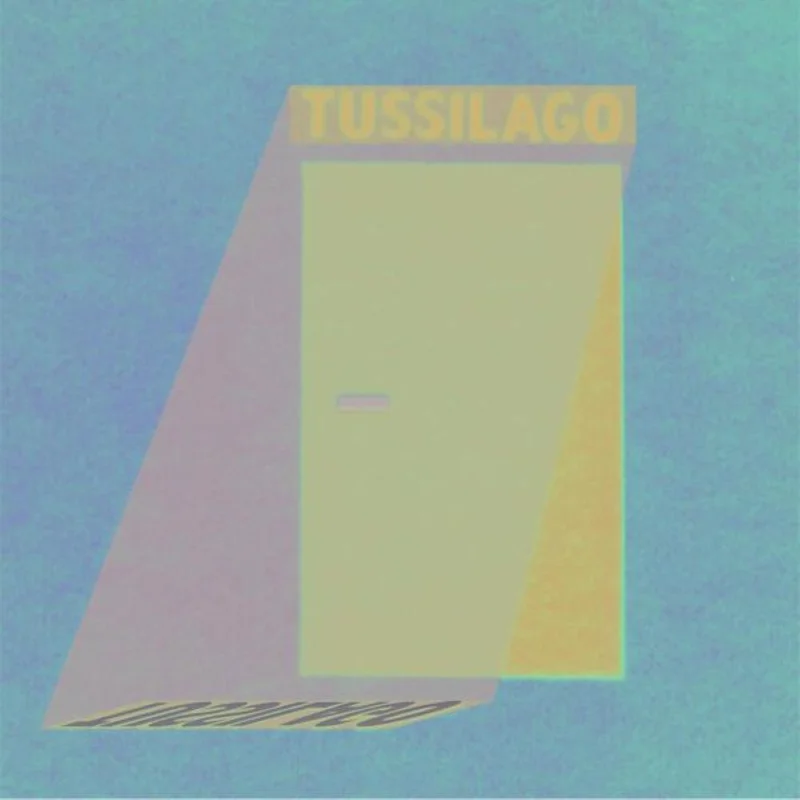 assai4021619