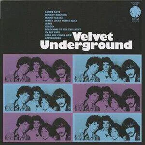 diversevinyl2494125