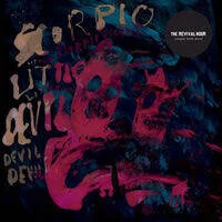 diversevinyl2504138