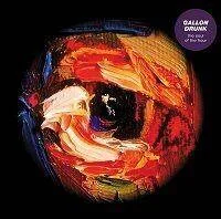 diversevinyl2509931