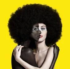 diversevinyl2521275