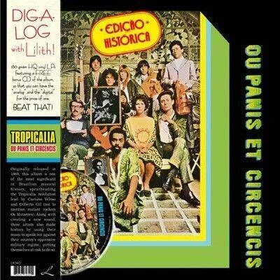 diversevinyl2527172