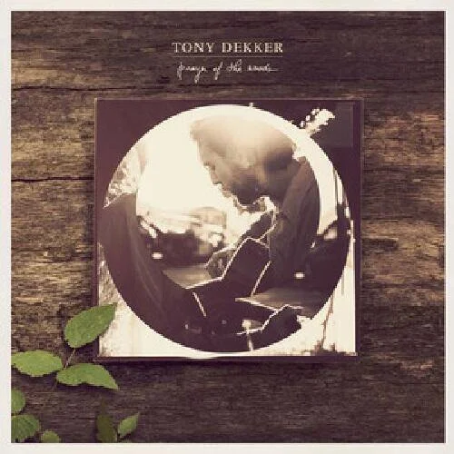diversevinyl2544966
