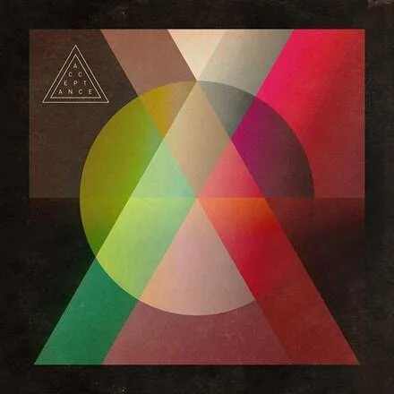 diversevinyl2573240