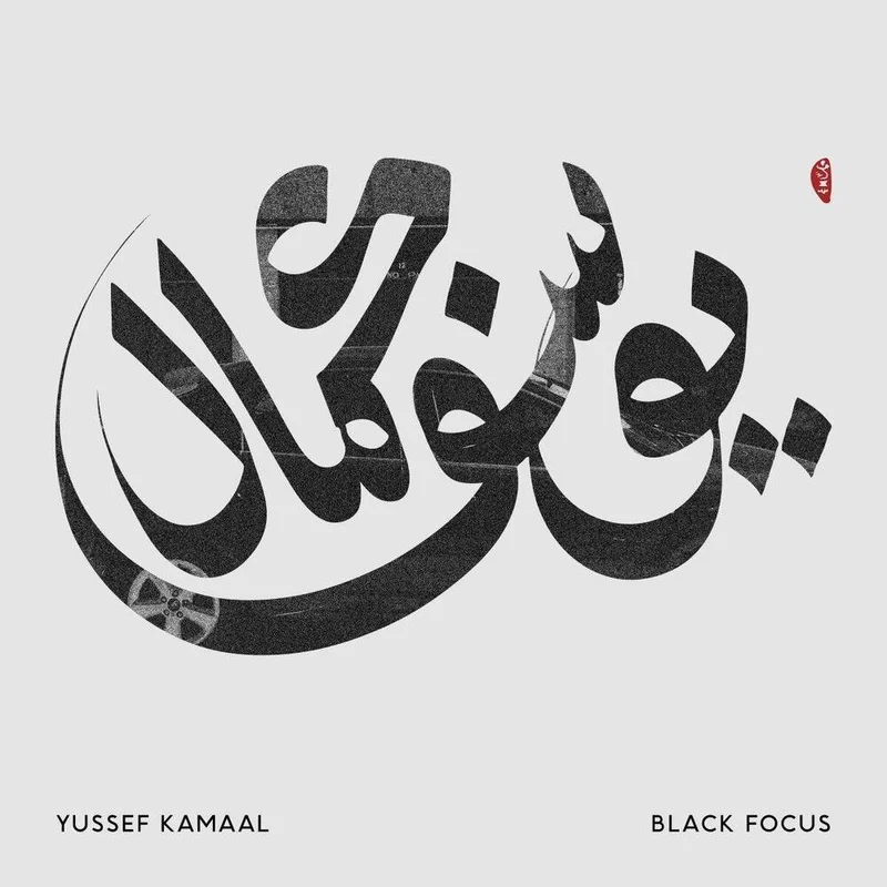 diversevinyl2574104
