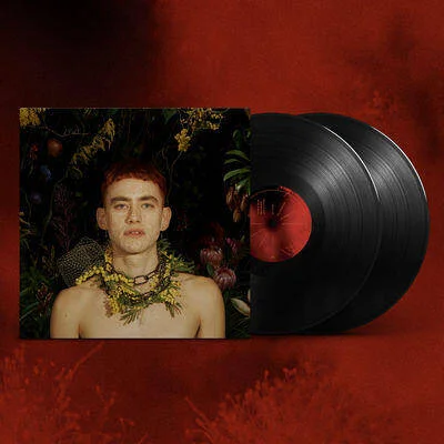 diversevinyl2589671
