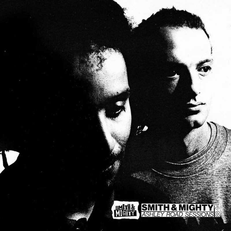 diversevinyl2591094