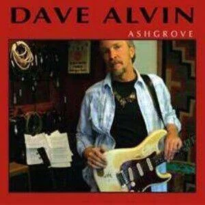 diversevinyl2601549
