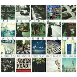 diversevinyl2604098