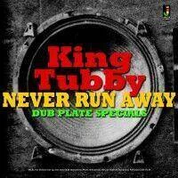 diversevinyl2609286