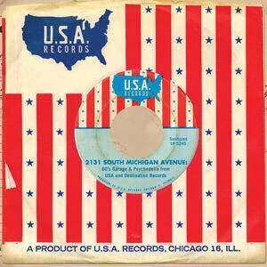 diversevinyl2620277