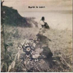 diversevinyl2621801