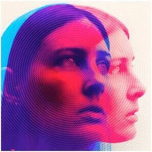 diversevinyl2624947
