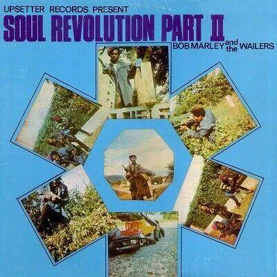 diversevinyl2625113