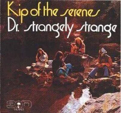 diversevinyl2676517