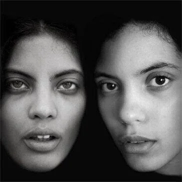 diversevinyl2680975