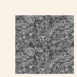 diversevinyl2692111