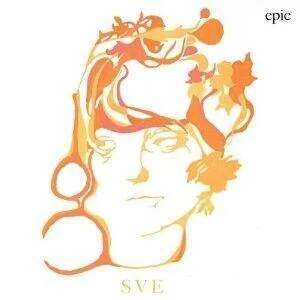 diversevinyl2697999