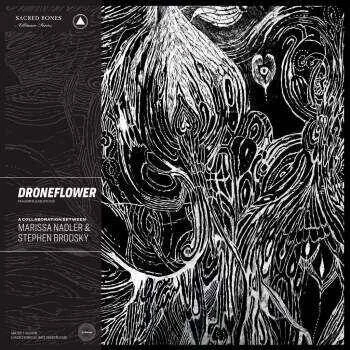 diversevinyl2698805