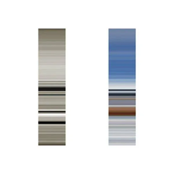 diversevinyl2802202