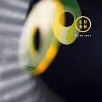 diversevinyl2802329