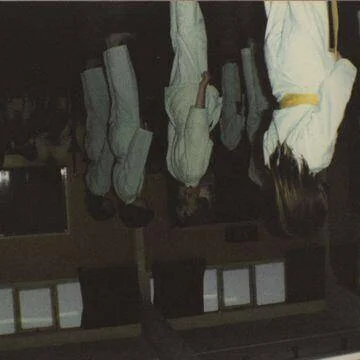 diversevinyl2821977