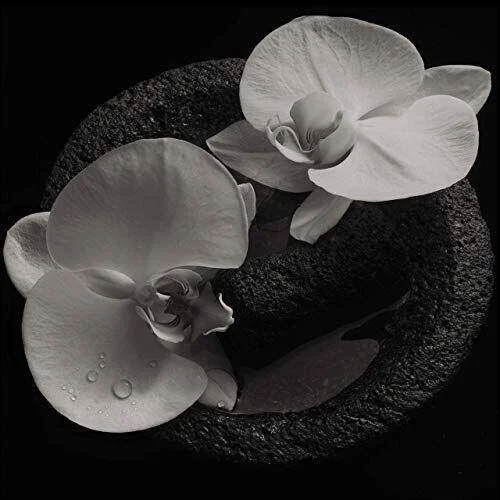 diversevinyl2840373
