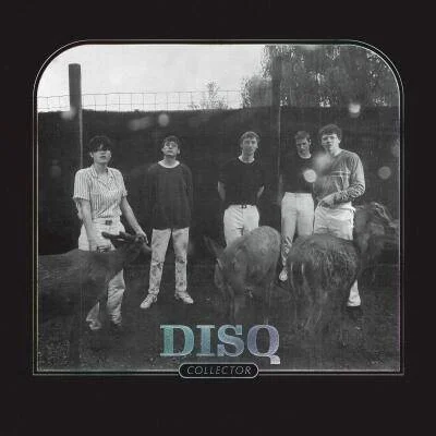 diversevinyl2865248