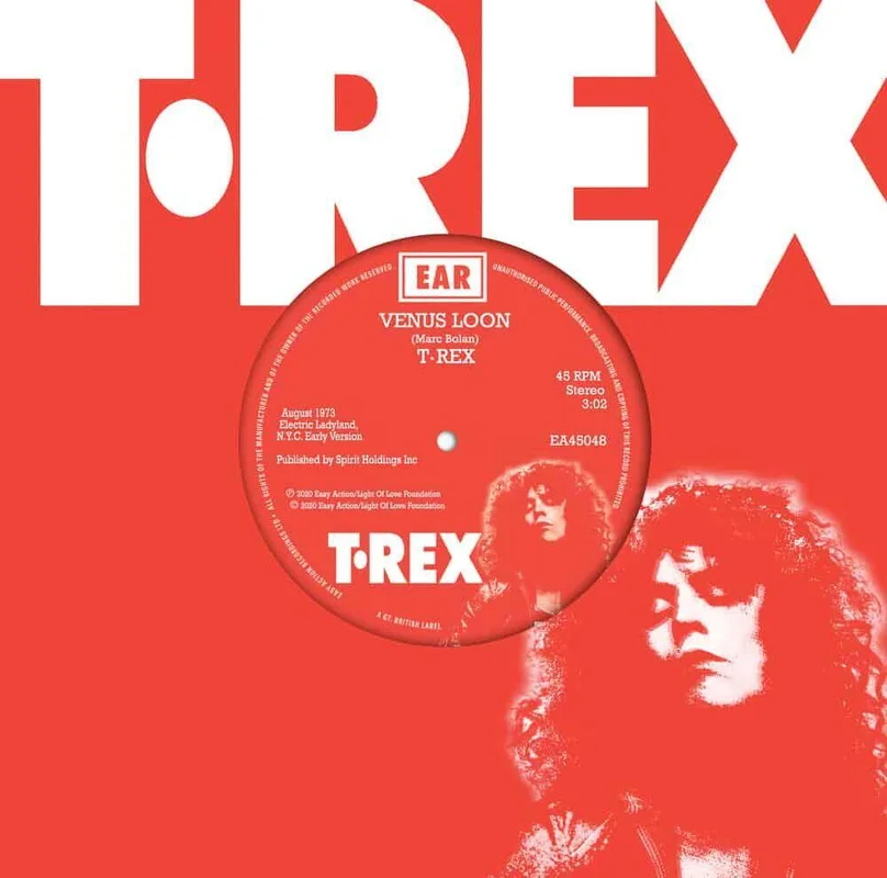 diversevinyl2871038