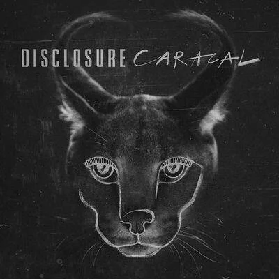 diversevinyl2920184