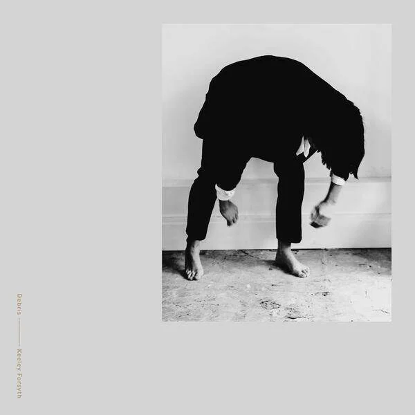 diversevinyl2924169