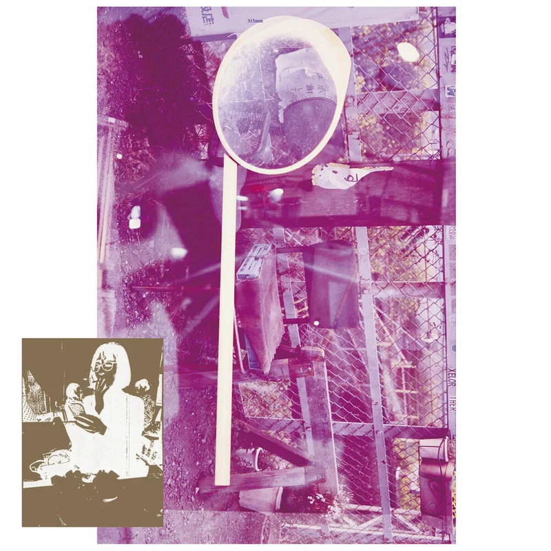 diversevinyl2931757