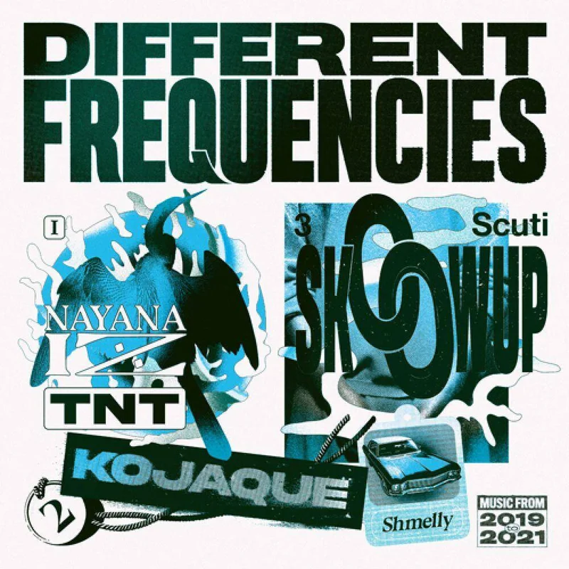 diversevinyl2940935