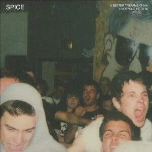 diversevinyl2943217