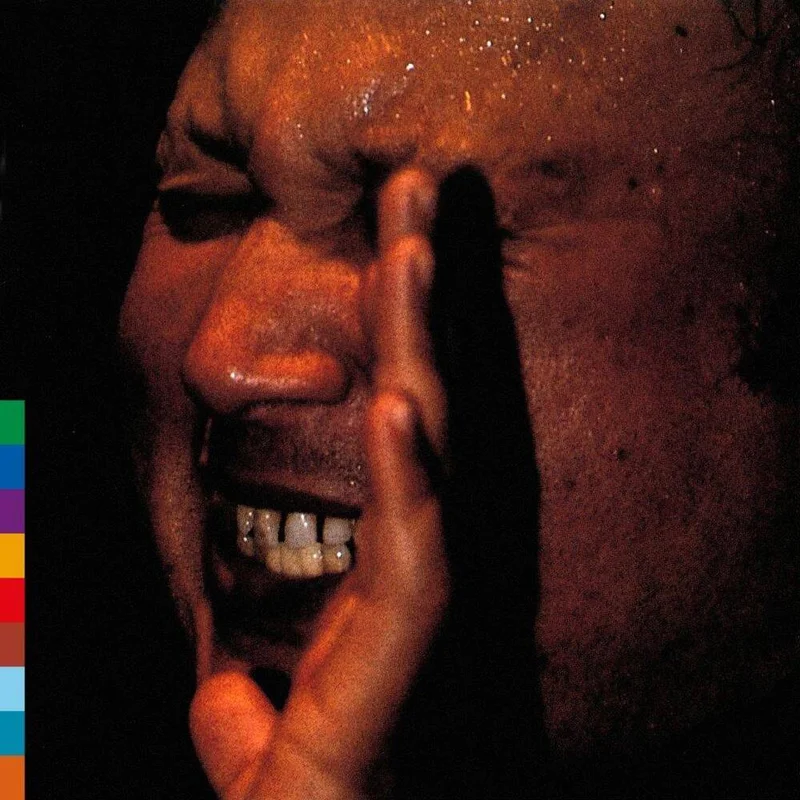 diversevinyl2955653