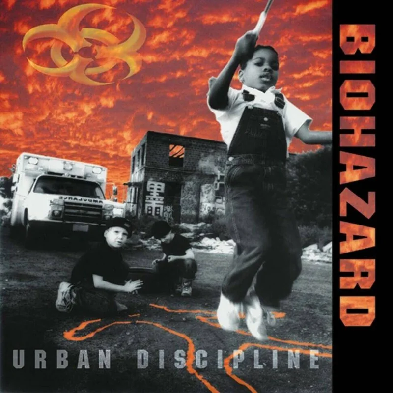 diversevinyl2964190