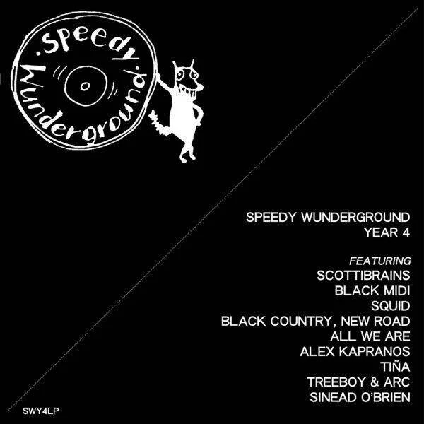 diversevinyl2973103
