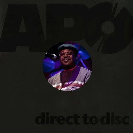 diversevinyl2990418