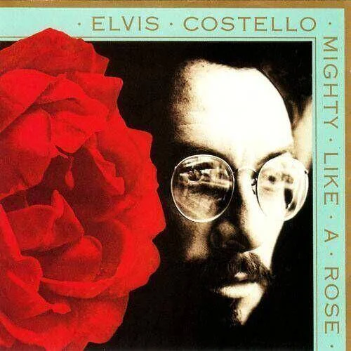 diversevinyl3002343
