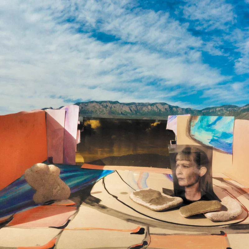 diversevinyl3003596
