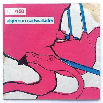 diversevinyl3011318