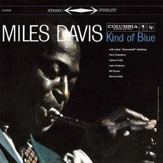 diversevinyl3046429