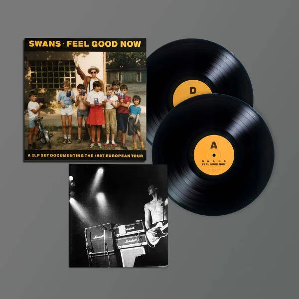 diversevinyl3086039