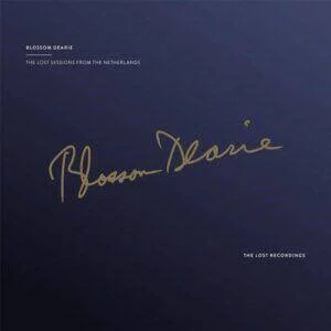 diversevinyl3101153