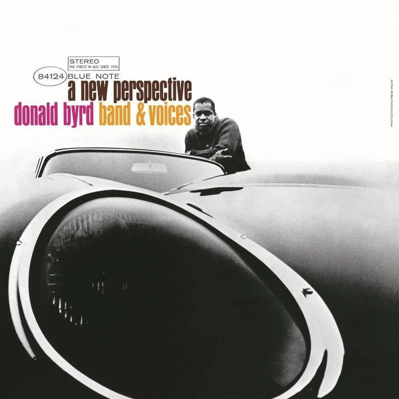 diversevinyl3132901