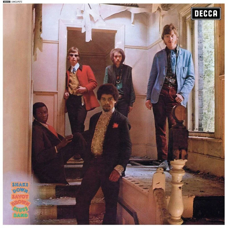 diversevinyl3138453