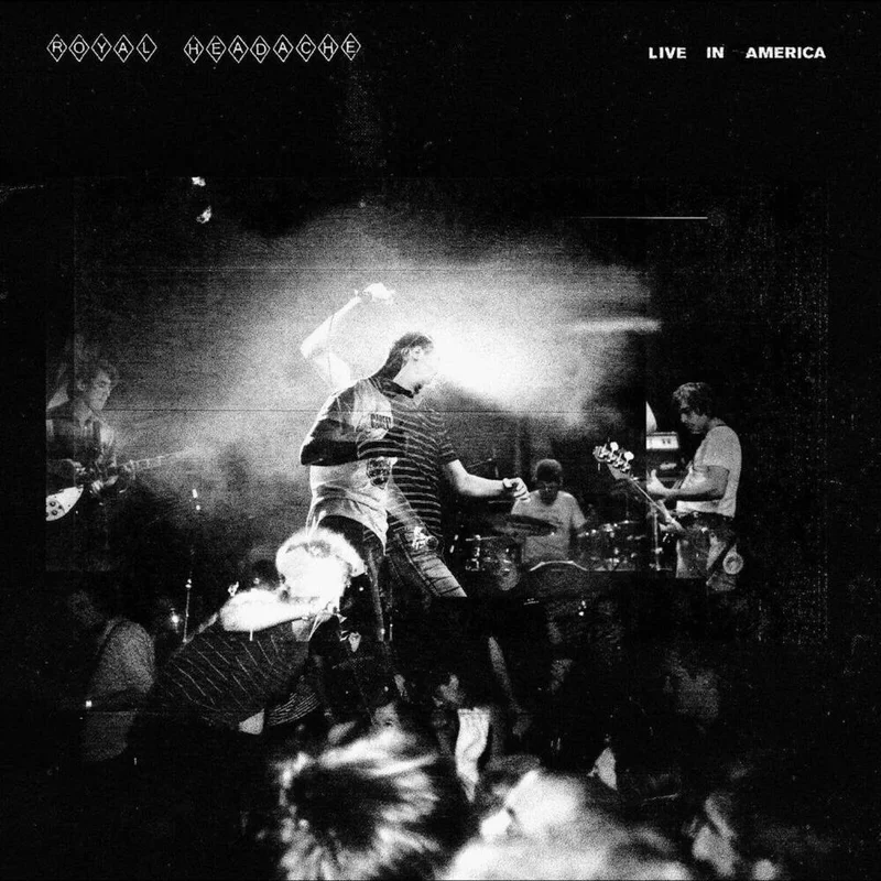 diversevinyl3139488