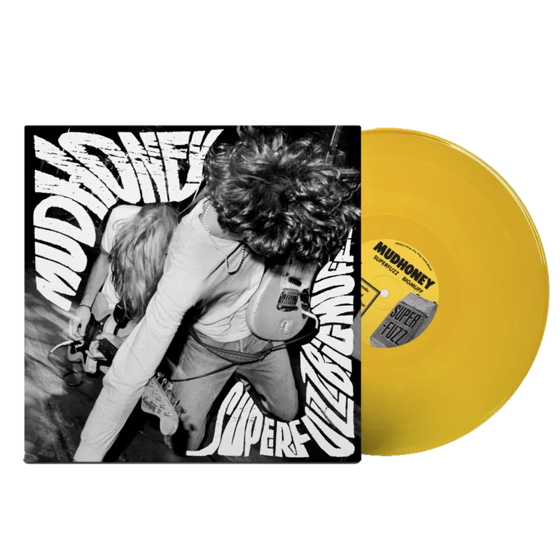 diversevinyl3139699