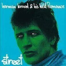 diversevinyl3149957